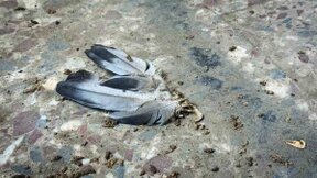 Fotos vom alten Krankenhaus in Gohta
